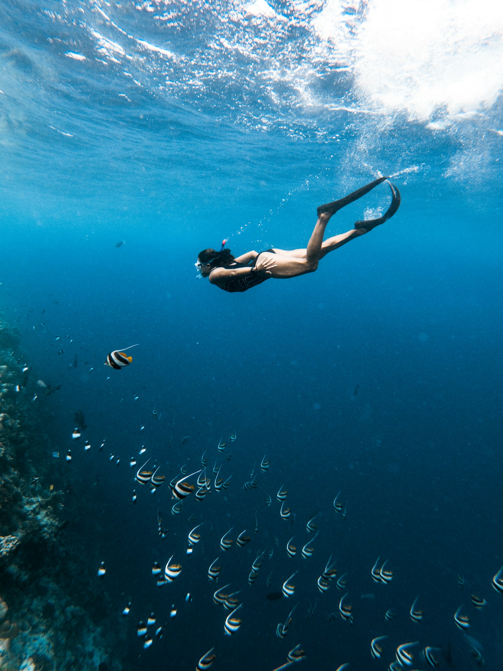 蓝梦岛/佩尼达浮潜潜水（World Diving） 参考图 1